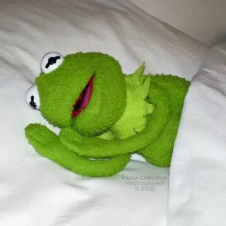 😟 3b059bcc Kermit Paula Corleison Photography 2010 커밋, 개구리, 머펫, 자는, 담요, 귀여운 whatsapp sticker