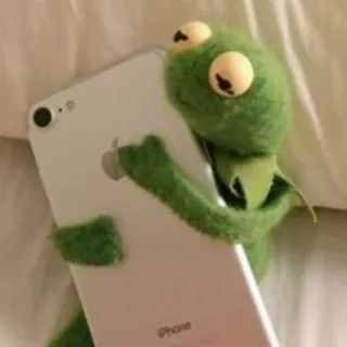 📱 5d46eb23 Kermit 커밋, 머펫, 셀카, 핸드폰, 웃긴, 귀여운, 밈 whatsapp sticker