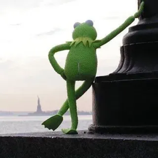 🌅 bd85ae44 Kermit the Frog 커밋, 개구리, 인형, 머펫, 뉴욕, 자유의 여신상 whatsapp sticker