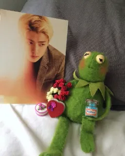 🤞 6f59e70f Kermit Potion Kermit, o Sapo, fantoche, Dia dos Namorados, amor, poção whatsapp sticker