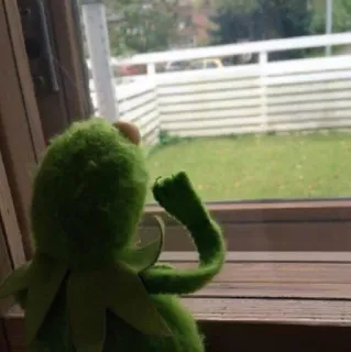 kermit🐸 whatsapp stickers