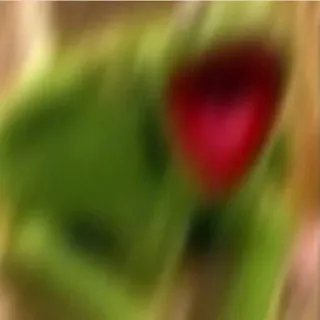 🤡 e0429510 whatsapp sticker