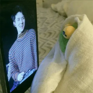 🐸 1af37146 Kermit 科密特, 表情包, 布偶, 木偶, 毛巾 whatsapp sticker