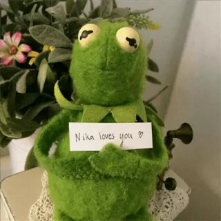 🐸 4939ff09 Kermit Nika loves you 科米蛙, 爱, 问候, 可爱 whatsapp sticker