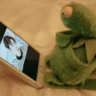 🐸 551facfe Kermit 科米蛙, 布偶, 表情包, 木偶, 青蛙 whatsapp sticker
