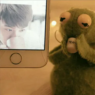 Kermit🐸❤️ whatsapp stickers