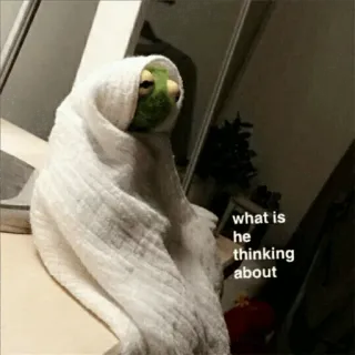 🐸 b2ab14fd Kermit what is he thinking about 科米蛙, 表情包, 思考, 搞笑, 毛巾 whatsapp sticker