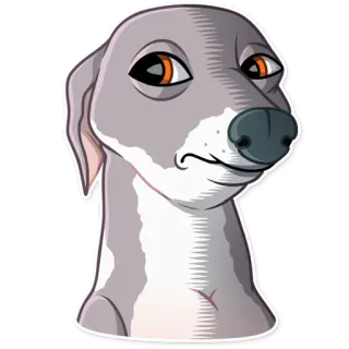 😐 19a3dd10 犬, 動物, グレイハウンド, ステッカー, ペット, ポートレート telegram sticker