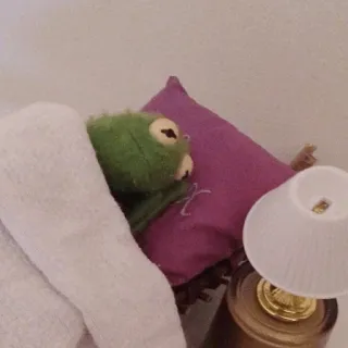 😐 627e944f Kermit kermit the frog, puppet, muppet, sleep, bed telegram sticker