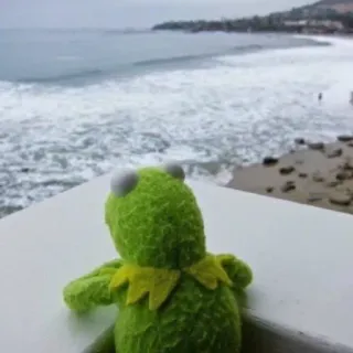 😀 c090fbdf Kermit Kermit the Frog, Muppet, beach, ocean, waves, green, toy, sea, frog telegram sticker