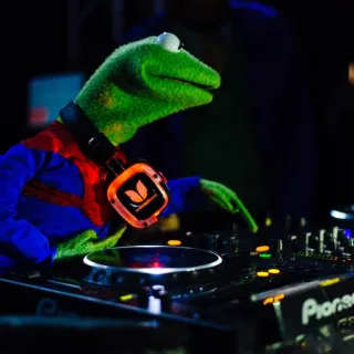 🎧 092b4818 Kermit Kermit la Rana, DJ, musica, festa, giradischi, intrattenimento telegram sticker