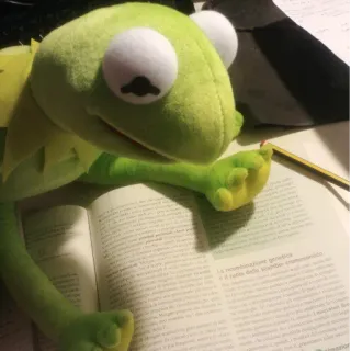 📃 5a40d147 La ricombinazione genetica kermit, rana, muppet, peluche, studio, libro, lettura telegram sticker