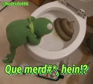 💩 0a177b5d Kermit Que merd#* , hein!? kermit de kikker, toilet, aanstootgevend, schelden, vies telegram sticker