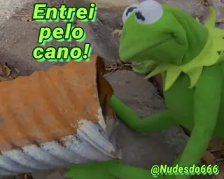 ☹️ 11f6415e Kermit Entrei pelo cano! Kermit de Kikker, Meme, Kikker, Muppets, Grappig telegram sticker