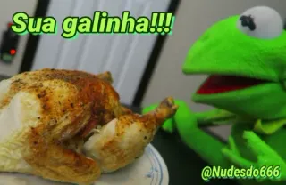 🐔 1363a5f7 Kermit Sua galinha!!! @Nudesdo666 Kermit de Kikker, kip, eten, humor, meme, koken telegram sticker