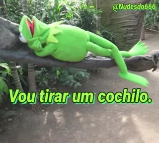😴 143d0a79 Kermit Vou tirar um cochilo. Kermit de Kikker, Meme, Relaxen, Slapen, Slaapje telegram sticker