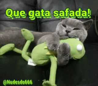 😏 27b1c1b6 Que gata safada! kat, meme, grappig, humor, huisdier telegram sticker