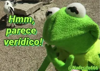🤔 35398ba1 Kermit Hmm, parece verídico! Kermit de Kikker, Meme, Hmm, Parece, Verídico, Portugees telegram sticker