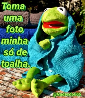 🌚 48f68e48 Kermit Toma uma foto minha só de toalha. Kermit, handdoek, grappig, kikker, meme telegram sticker