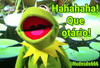 😂 4fd08177 Kermit Hahahahaha! Que otário! kermit de kikker, meme, kikker, pop, humor, grappig telegram sticker
