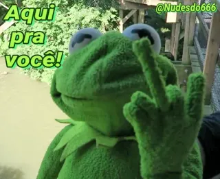 😡 56c39535 Kermit Aqui pra você! kermit, middelvinger, kikker, beledigend telegram sticker