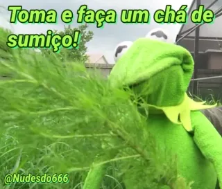 😒 696c5def Kermit Toma e faça um chá de sumiço! Kermit de Kikker, Meme, Thee, Verdwijnen, Grappig, Internetmeme telegram sticker