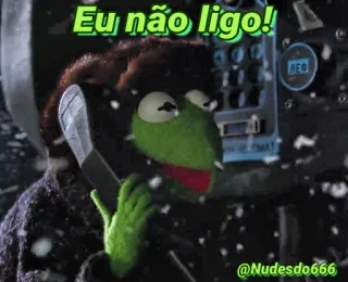 🙄 959f2cc8 Kermit Eu não ligo! Kermit de Kikker, telefoon, Muppets, grappig, meme telegram sticker