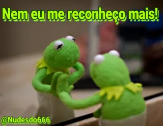 🤔 974a9d1d Kermit Nem eu me reconheço mais! Kermit de Kikker, Muppet, Reflectie, Spiegel, groen, Zelfbeeld telegram sticker