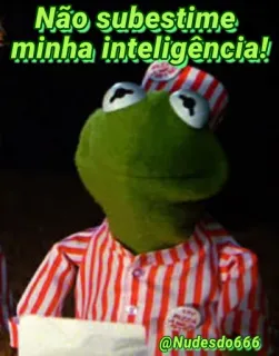 😒 cbd6772d Kermit Não subestime minha inteligência! Kermit de Kikker, Muppet, intelligentie, grappig, meme telegram sticker