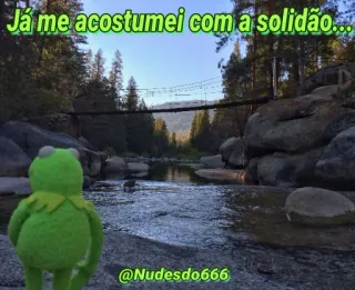 😞 ed6eb82f Kermit Já me acostumei com a solidão... kermit, verdrietig, kikker, eenzaamheid, afzondering telegram sticker