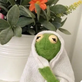 🤒 140e58fd Kermit frog, puppet, cozy, blanket, green telegram sticker