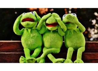 🙈 22c040d5 Kermit the Frog Kermit, the frog, hear no evil, speak no evil, see no evil telegram sticker