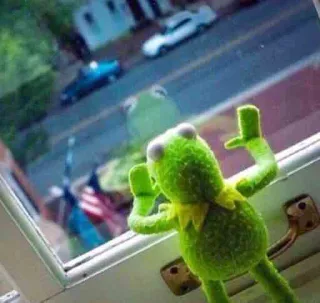 🖼 4868aa9f Kermit the Frog kermit, frog, window, puppet telegram sticker