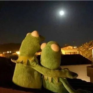 👭 79e65145 Kermit the Frog kermit, moon, night, cute, frog telegram sticker
