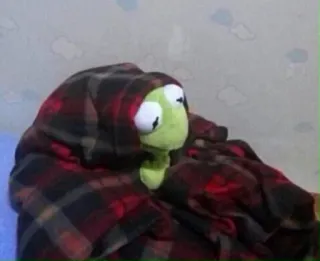 😔 7c5851c8 Kermit frog, puppet, blanket, cozy, green telegram sticker