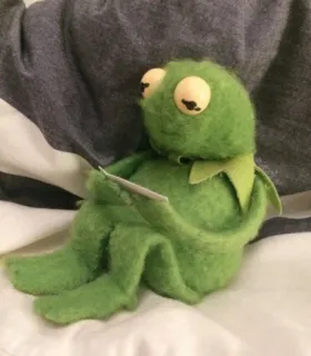 😢 8d545ab7 Kermit frog, puppet, reading, contemplative, kermit the frog telegram sticker