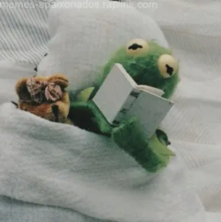📚 ba83dda1 Kermit frog, reading, cute, teddy bear telegram sticker