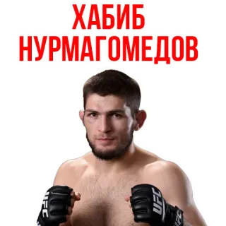 Khabib Nurmagomedov telegram stickers