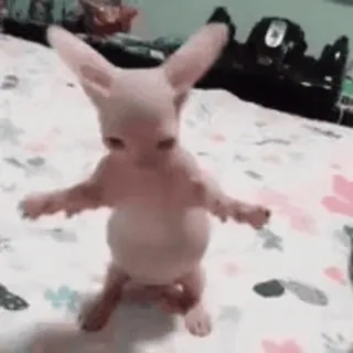 Больше стиков тут: @stikery4 telegram stickers