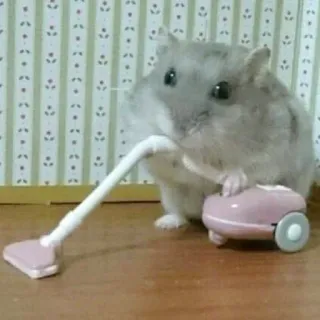 Стики🫐➡️ @emojipipka whatsapp stickers