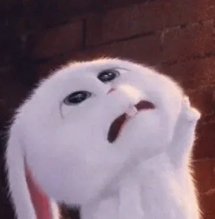 🍓 359fc985 Snowball The Secret Life of Pets 兔子, 动物, 卡通, 可爱, 宠物 telegram sticker