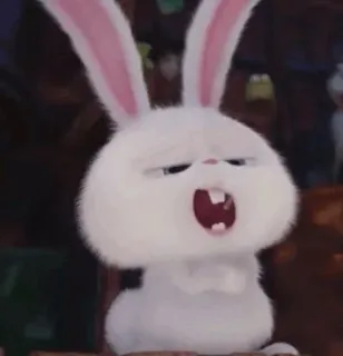 🍓 7188f2e2 Snowball The Secret Life of Pets 兔子, 动物, 卡通, 兔兔, 可爱, 动画 telegram sticker