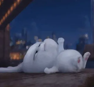 🍓 8f0ab484 telegram sticker