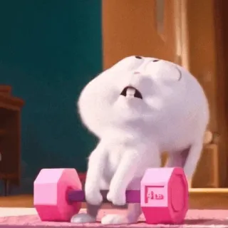 🍓 9b51576b 兔子, 举重, 锻炼, 健身, 卡通, 动物, 可爱 telegram sticker