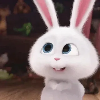 🍓 b606429d Snowball The Secret Life of Pets 雪球, 兔子, 爱宠大机密, 动画电影, 卡通, 可爱, 动物, 兔子 telegram sticker