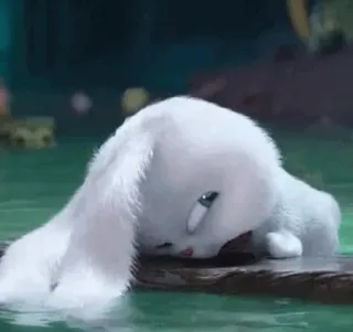 🍓 fd402e1b 兔子, 伤心, 动物, 可爱, 白色, 兔子, 毛茸茸 telegram sticker