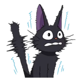 😳 18a96dbb Jiji Kiki's Delivery Service cat, black cat, anime, studio ghibli, scared telegram sticker