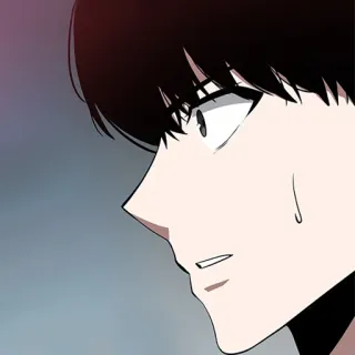 ⚰ 712176cd whatsapp sticker