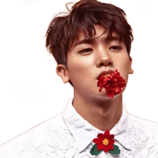 🌺 e62d9324 男人, 花, 肖像, 名人, 演员, 帅哥, 韩国 whatsapp sticker