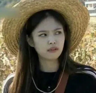 🦆 739732d0 telegram sticker